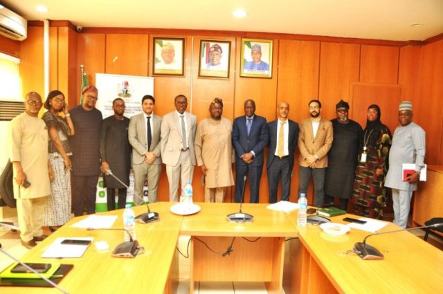 We're Laying Foundation For Stable, Efficient Power — Adelabu To World Bank