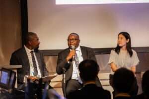 Adelabu, Bayo Adelabu, APC, Energy,Japan, TICAD 9,