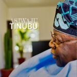Tinubu’s Renewed Hope and the Silent Western War Against Nigeria