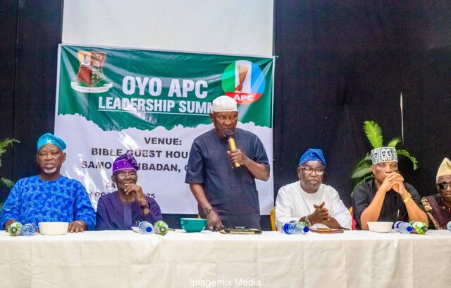 OYO: APC Emerging Leaders Applaud Elders for Unification Summit