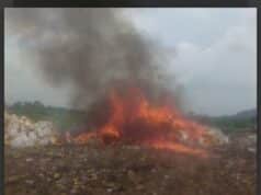 United Front Against Counterfeit Products: NAFDAC’s Crucial Battle For Public Health In Ibadan United Front Against Counterfeit Products: NAFDAC 'S Crucial Battle For Public Health In Ibadan