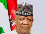 Geregu Power Appoints Abdulaziz Yari Board Chairman, As Femi Otedola Resigns After Selling Stake