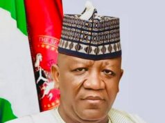 Geregu Power Appoints Abdulaziz Yari Board Chairman, As Femi Otedola Resigns After Selling Stake