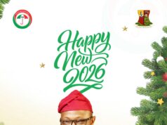 Amofin Beulah Adeoye Felicitates Nigerians In New Year Message