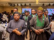 Tegbe Urges Investors to Embrace Sustainable Financing Models for Electrification of Nigeria’s Healthcare Facilities