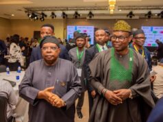 Tegbe Urges Investors to Embrace Sustainable Financing Models for Electrification of Nigeria’s Healthcare Facilities