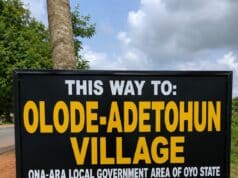 Akinola Installs 50 Solar-Powered Streetlights in Hometown, Promises More Projects Across Political Ward